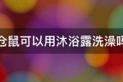 仓鼠可以用沐浴露洗澡吗 