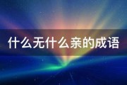 什么无什么亲的成语 