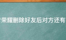 王者荣耀删除好友后对方还有我吗 