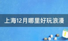 上海12月哪里好玩浪漫 