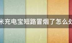 小米充电宝短路冒烟了怎么处理 