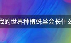 我的世界种植蛛丝会长什么 