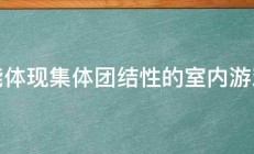 能体现集体团结性的室内游戏 