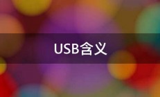 USB含义 