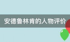 安德鲁林肯的人物评价 