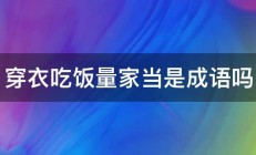 穿衣吃饭量家当是成语吗 