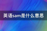 英语sam是什么意思 