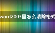 word2003里怎么清除格式 