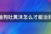 泰迪狗吐黄沫怎么才能治好啊 