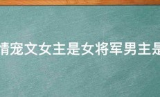 言情宠文女主是女将军男主是受 