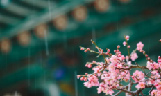 雨水节气几点到2023-雨水节气什么时候结束