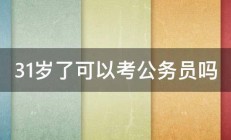 31岁了可以考公务员吗 