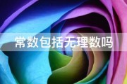 常数包括无理数吗 