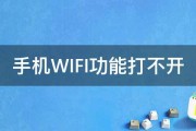 手机WIFI功能打不开 