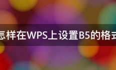 怎样在WPS上设置B5的格式 