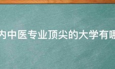 国内中医专业顶尖的大学有哪些 