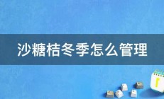 沙糖桔冬季怎么管理 