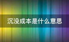 沉没成本是什么意思 