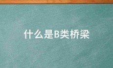 什么是B类桥梁 