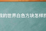 我的世界白色方块怎样找 