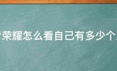 王者荣耀怎么看自己有多少个五杀 