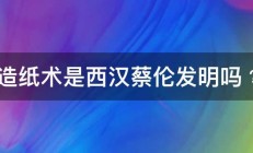 造纸术是西汉蔡伦发明吗﹖ 