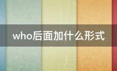 who后面加什么形式 