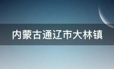 内蒙古通辽市大林镇 