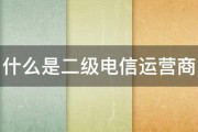 什么是二级电信运营商 