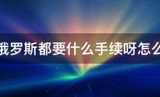 去俄罗斯都要什么手续呀怎么办 