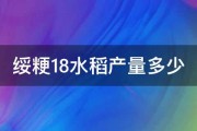 绥粳18水稻产量多少 