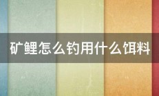 矿鲤怎么钓用什么饵料 