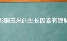 影响玉米的生长因素有哪些 