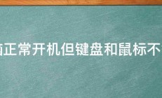 电脑正常开机但键盘和鼠标不能用 