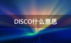 DISCO什么意思 