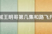 海贼王明哥第几集和路飞开打 