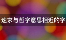 速求与哲字意思相近的字 