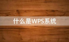 什么是WPS系统 