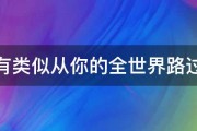 有没有类似从你的全世界路过的书 