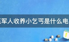 退伍军人收养小乞丐是什么电视剧 