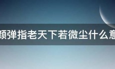 红颜弹指老天下若微尘什么意思 