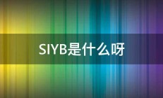 SIYB是什么呀 