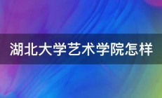 湖北大学艺术学院怎样 