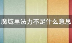 魔域里法力不足什么意思 