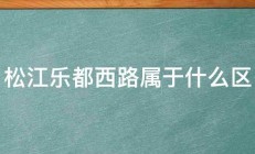 松江乐都西路属于什么区 