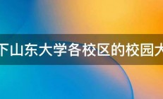 问下山东大学各校区的校园大小 