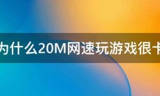 为什么20M网速玩游戏很卡 