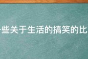 求一些关于生活的搞笑的比喻句 