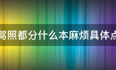 驾照都分什么本麻烦具体点 