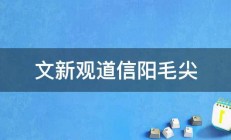 文新观道信阳毛尖 